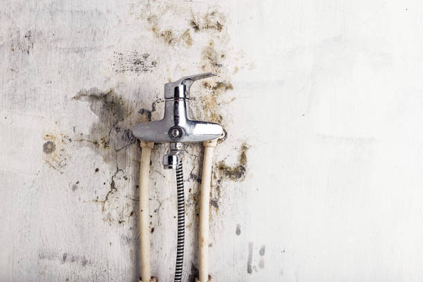 Best Commercial Mold Remediation in Falmouth Foreside, ME